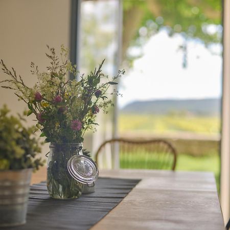 Domaine De Sevanes Saint-Paul-les-Fonts Εξωτερικό φωτογραφία