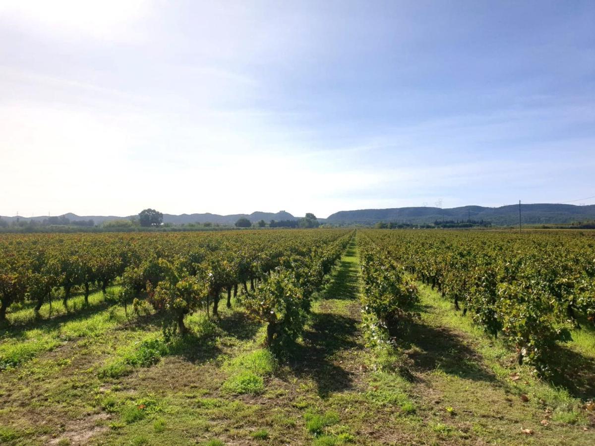 Domaine De Sevanes Saint-Paul-les-Fonts Εξωτερικό φωτογραφία