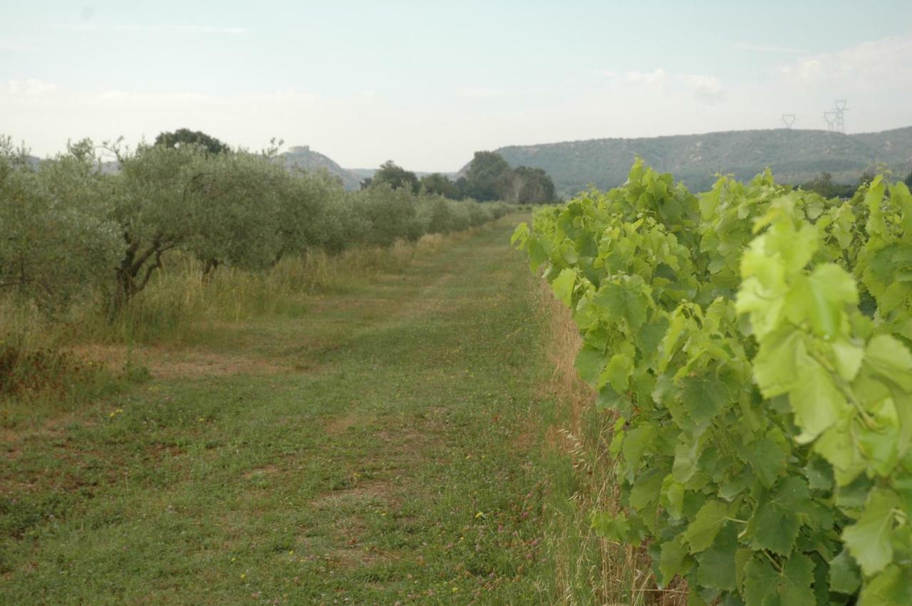 Domaine De Sevanes Saint-Paul-les-Fonts Εξωτερικό φωτογραφία